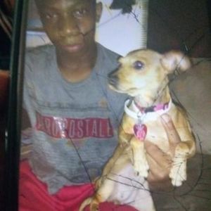 Meet your Posher, Khalil